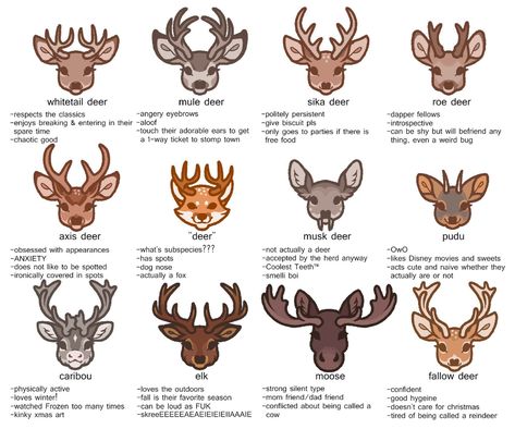 Types Of Deer, Axis Deer, Unusual Animal Friendships, Personality Chart, Animal Friendships, Deer Art, A Monkey, Creature Drawings, Haiwan Peliharaan