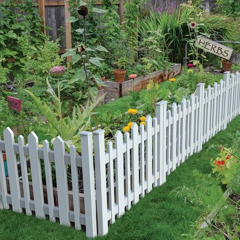 Xpanse 2.5 ft. H x 3 ft. W Picket Accent Fence & Reviews | Wayfair Wood Garden Edging, Garden Edging Ideas, Small City Garden, Vinyl Railing, Wood Fence Design, Small Fence, Dig Gardens, Garden Fence Panels, Funny Shorts