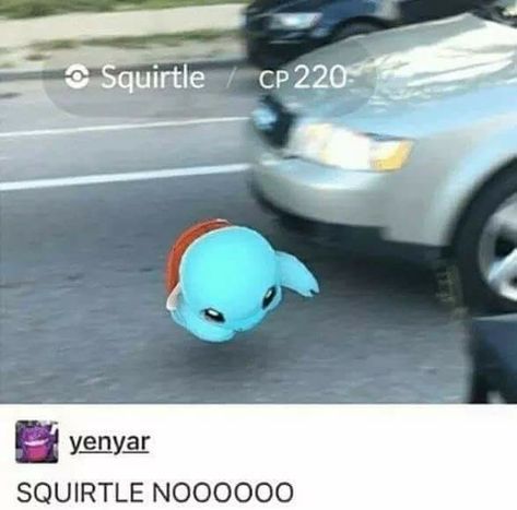 Funny Pokemon Go, Spicy Meme, Funny Pokemon, Pokemon Comics, Pokemon Memes, Pokemon Funny, Pokemon Fusion, Pokemon Drawings, Pokemon Fan Art