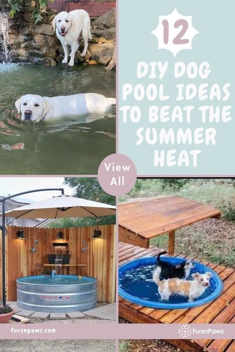 Plastic Baby Pool, Dog Pool Diy, Diy Dog Pool, Dog Pool Party, Dog Pool Ideas, Outdoor Dog Area, Dog Play Area, Dog Pond, Diy Dog Gate