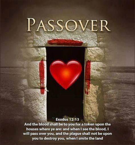 I WILL PASS OVER YOU Scripture Reading: Exodus 12 Now the blood shall be a sign for you on the houses where you are. And... Passover Lamb, Exodus 12, Feasts Of The Lord, Hebrew Roots, The Plague, Yom Kippur, Scripture Reading, Holy Week, Bible Knowledge