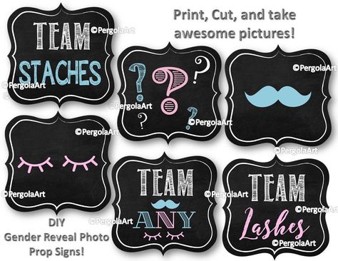 Team Lashes Team Staches, Purple And Green Gender Reveal, Green Gender Reveal, Staches Or Lashes, Gender Reveal Photo, Gender Reveal Cards, Gender Reveal Box, Twin Gender Reveal, Gender Reveal Photos