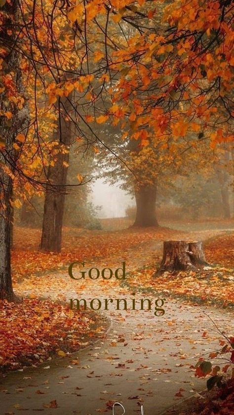 Good Morning Cold Day, Good Morning Cold, Good Morning Autumn, Morning Autumn, Good Morning Animals, Goodnight Wishes, Sunday Morning Quotes, Angled Bobs, Good Morning Funny Pictures