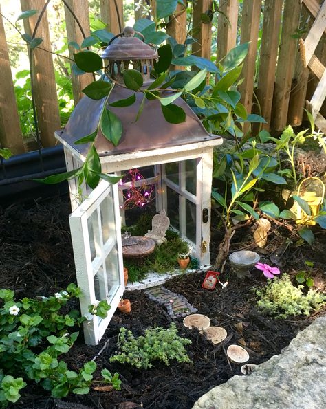 Fairy House made from a Lantern! Lantern Design Ideas, Fairy House Lantern, Fairy Garden Lantern, Garden Centerpiece, Garden Lantern, Fairy Lanterns, Lantern Ideas, Greenhouse Ideas, Faeries Gardens