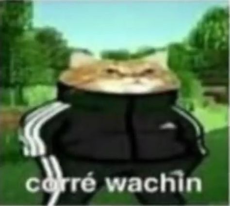 un gato gordo con el uniforme de de un típico profe de fisica gordo. Great Memes, Headache Relief, Alternative Therapies, R Memes, Pressure Points, Meme Faces, Daily Memes, Acupressure, Dog Memes