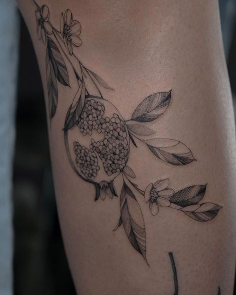 pomegranate tattoo for Lucia🌸✨ | Instagram Pomegranate Tree Tattoo, Pomegranate Branch Tattoo, Pomegranate Tattoo, Shin Tattoo, Branch Tattoo, Vine Tattoos, Tree Tattoo, Half Sleeve Tattoo, Make Art