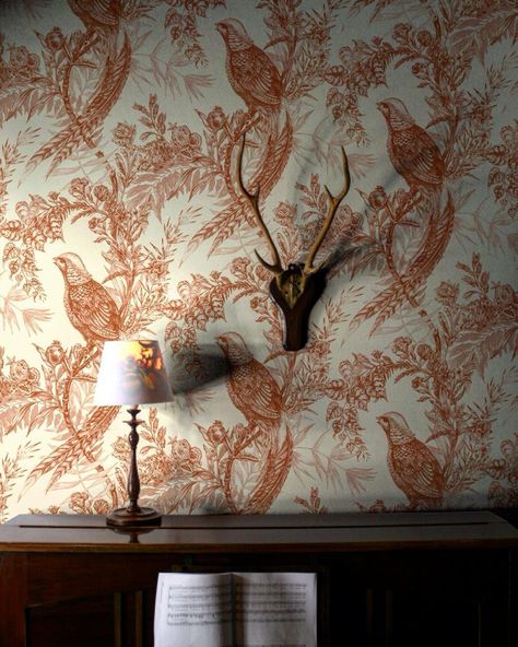 Hello autumn #pheasant #wallpaper #timorousbeasties Timorous Beasties wallpaper Bedroom Wallpaper Toile, Wallpaper Window Wall, Wallpapered Hallway Ideas, Paint And Wallpaper Combo, Wallpaper Fireplace Wall, Pheasant Wallpaper, Stag Wallpaper, Kitchen Wallpaper Design, Timorous Beasties Wallpaper