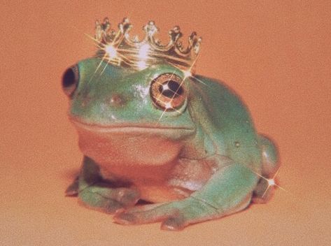 Pet Frogs, A Frog, Frogs, Aesthetic Wallpapers, See More, Crown, Wallpapers, Pet