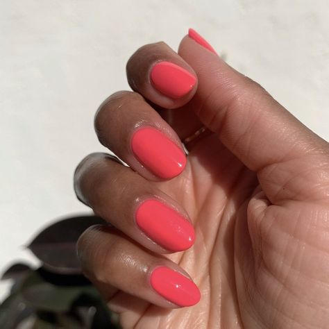 Hot Strawberry Strawberry Colored Nails, August Nails Colors, Pink Manicure Gel, Solid Summer Nails, Summer Nails One Color, Classic Summer Nails, Classy Summer Nails Simple, Orange Pink Nails, Summer Nails Bright