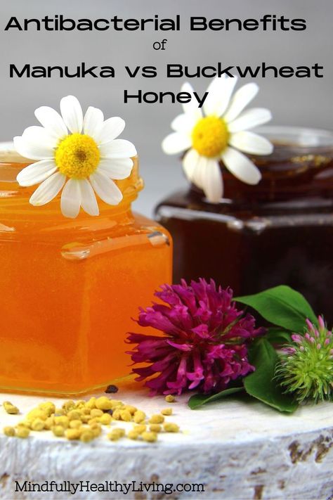 A close-up photo of two octagon shaped glass jars with a light-colored honey in one and a dark-colored honey in the other. They represent manuka honey and buckwheat honey. There is a white daisy placed in each jar and a purple and pink carnation and two more daisies placed surrounding the honey jars decoratively with bee pollen pellets in front of them. In black print at the top reads: Antibacterial benefits of Manuka and Buckwheat Honey. At the bottom reads MindfullyHealthyLiving.com Buckwheat Flower, Buckwheat Honey, Manuka Tree, Natural Medicine Cabinet, Types Of Honey, Honey Benefits, Herbal Healing, Holistic Nutrition, Eat Smart