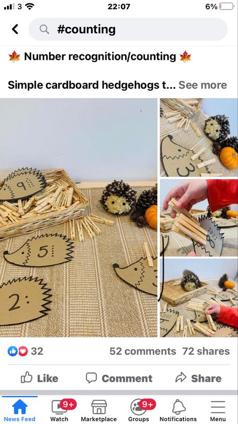 Hedgehog Tuff Tray, Reception Classroom, Tuff Tray, Number Recognition, Hedgehogs, Tray, Education