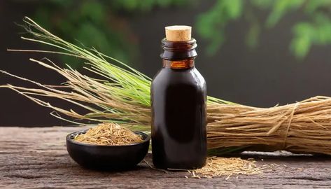 Vetiver Plant, Vetiver Oil, Vetiver Essential Oil, Retail Technology, Escentric Molecules, Market Trends, Garden Of Eden, Pesticides, Marketing Trends