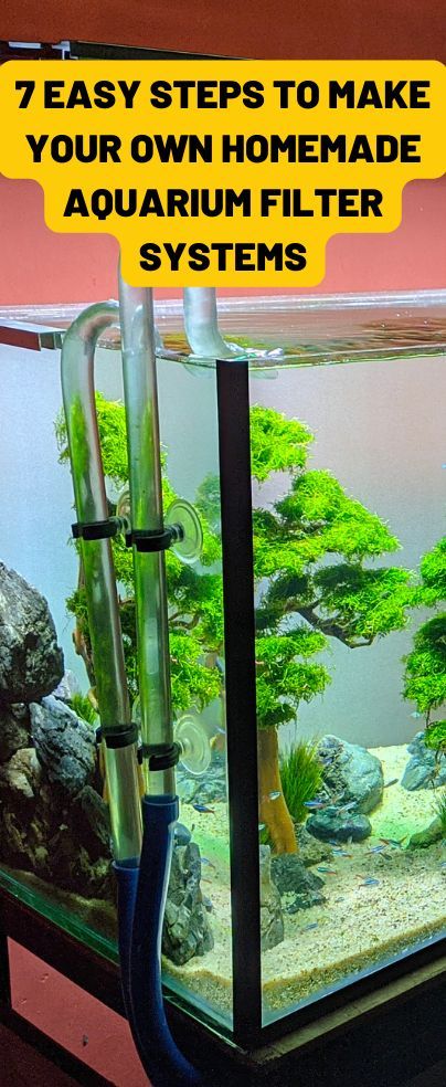 Aquarium Substrate Ideas, Diy Fish Tank Filter, No Filter Aquarium, Homemade Aquarium, Aquarium Filter Ideas, Diy Sump Filter Aquarium, Diy Aquarium Filter, Aquarium Sump, Goldfish Aquarium