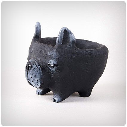 29 French Bulldog Gifts for the Frenchie Lover In Your Life - Dodo Burd Cactus Planters, Yard Planters, Clay Pinch Pots, Planters Indoor, Ceramic Pinch Pots, Coil Pots, Pottery Animals, French Bulldog Gifts, Small Flower Pots