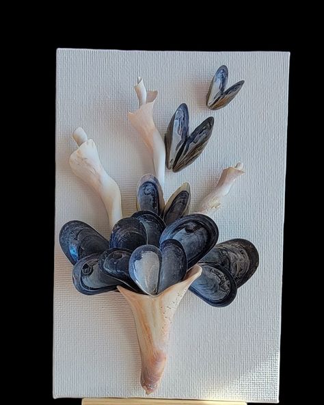 Muscle Shell Art, Mussel Art, Muscle Shell, Seashell Ideas, Seashell Art Diy, Pistachio Shells, Shell Ideas, Oyster Shell Crafts, Seashell Wall Art