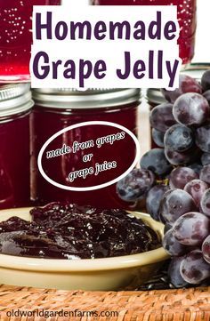 Grape Jelly Recipe, Grape Jam Recipe, Grape Juice Recipe, Homemade Grape Jelly, Concord Grape Jelly, Grape Jam, Homemade Sandwich, Jam Recipes Homemade, Canning Jam