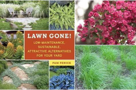 Ohio Native Lawn Replacements | Toledo Lucas County Public Library Landscaping Midwest, Native Lawn, Ohio Garden, Native Landscaping, Ohio Homes, Native Plant Landscape, Lawn Alternatives, Native Plant Gardening, Natural Pond