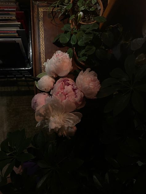 plants aesthetic cottagecore dark acedemia records vinyl pink flowers life books room inspo Peonies Dark Aesthetic, Abeera Core, Dark Pink Flowers Aesthetic, Dark Plant Room, Plants Dark Aesthetic, Dark Academia Plants, Plants Dark Academia, Dark Plant Aesthetic, Pink Dark Academia