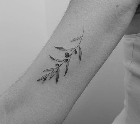 Olive Wrist Tattoo, Olive Branch Tattoo Dainty, Olive Branch Collar Bone Tattoo, Dainty Fern Tattoo, Olive Tree Branch Tattoo, Small Olive Branch Tattoo, Tattoo Olive Branch, Olive Branch Tattoo Arm Wrap, Olive Tree Tattoo