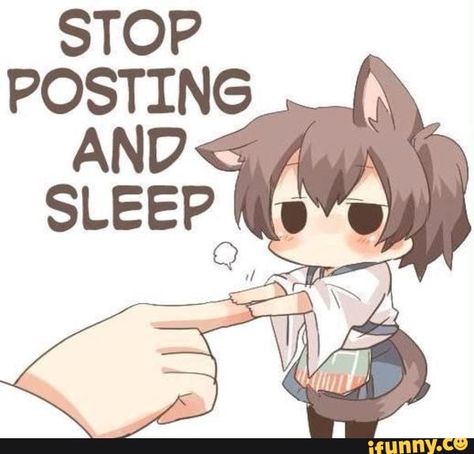 STOP POSTING – popular memes on the site iFunny.co #kantaicollection #gaming #animu #anime #kancolle #kantaicollection #goodnight #stop #posting #pic Kantai Collection, Go To Sleep, Anime Kawaii, An Anime, Popular Memes, Reaction Pictures, To Sleep, Anime Chibi, Anime Memes