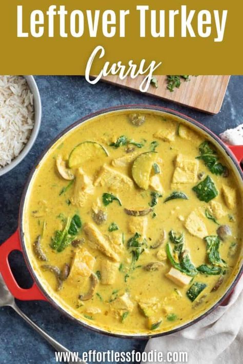 Leftover Turkey Curry, Christmas Recipes Dinner Main Courses, Turkey Chops, Turkey Curry, Healthy Christmas Recipes, Turkey Pasta, Christmas Breakfast Recipe, Fresh Turkey, How To Make Turkey