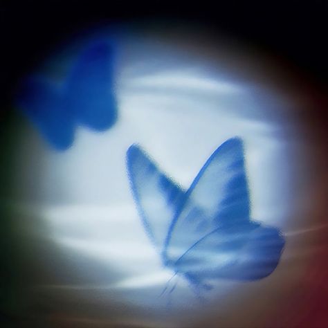 Butterfly Icon Aesthetic, Indigo Butterfly, Blue Butterfly Aesthetic, Dark Blue Pfp, Jungle Aesthetic, Ombre Wallpaper Iphone, Vintage Retro Aesthetic, Aesthetic Edgy, Aesthetic Artsy