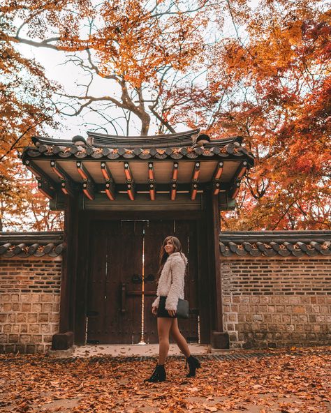 The Instagrammable Guide to Fall Leaves in Seoul, Korea | Away Lands - A Photography Travel Guide to the prettiest Autumn city in Asia Seoul Ootd Autumn, Seoul Autumn Outfit, Seoul Instagram Pictures, Autumn Aesthetic Photos, Seoul Pictures, Jungkook Photography, Korea Travel Photography, Autumn Poses, Autumn In Seoul