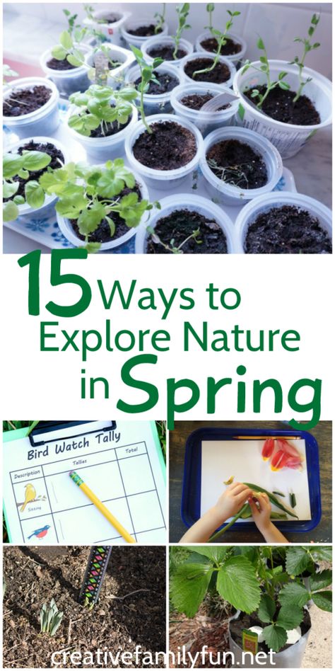 Get outside and learn while you explore nature in spring. Discover flowers, gardens, seeds, birds, animals, and plant science. Garden Science, Nature Crafts For Kids, Outdoor Exploration, Nature Spring, Spring Kids, Spring Fun, Science Ideas, Plant Science, Outdoor Classroom