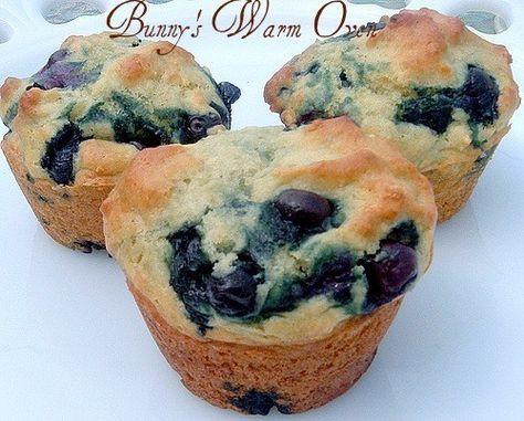 Recipe Using Plain Yogurt, Plain Yogurt Recipes, Vanilla Yogurt Recipes, Blueberries Muffins, Yogurt Desserts, Yogurt Dessert Recipes, Yogurt Blueberries, Blueberry Yogurt Muffins, Sunday Plans