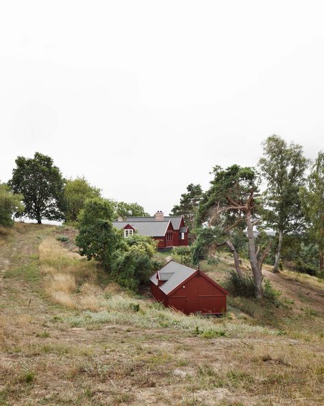 johansen skovsted cottage restoration recreates the atmosphere of the heritage building, initially built in 1905 among sand dunes of the danish countryside. Denmark House, Historic Cottage, Countryside Cottage, Timber Frame Construction, Separating Rooms, Tower Building, Old Cottage, Old Farmhouse, Under Stairs