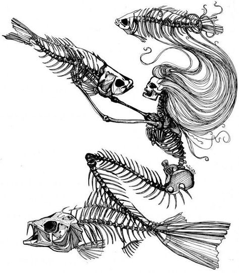 Tattoo Mermaid, Mermaid Tattoo Designs, Mermaid Skeleton, Skeleton Tattoos, Mermaid Tattoo, Mermaid Tattoos, Two Fish, Skeleton Art, Desenho Tattoo