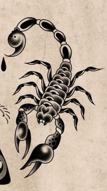 Tato Tradisional, Half Sleeve Tattoos Forearm, Old Scool, Traditional Style Tattoo, Tattoo Concepts, Sak Yant Tattoo, Insect Tattoo, Traditional Tattoo Sleeve, Scorpion Tattoo