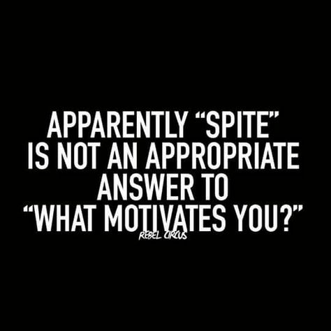 Apparently "spite" is not an appropriate answer to "what motivates you?" Clothes Diy, Sarcastic Quotes Funny, Twisted Humor, E Card, Work Humor, Oscar Wilde, Sarcastic Humor, Sarcastic Quotes, Funny Signs