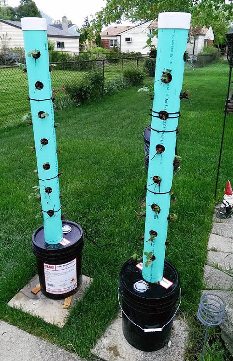 PVC Tower Garden. Vertical Planter Diy, Hydroponic Tower, Hydroponic Strawberries, Strawberry Tower, Vertical Vegetable Gardens, Planter Diy, Hydroponic Farming, Hydroponics Diy, Vertical Vegetable Garden