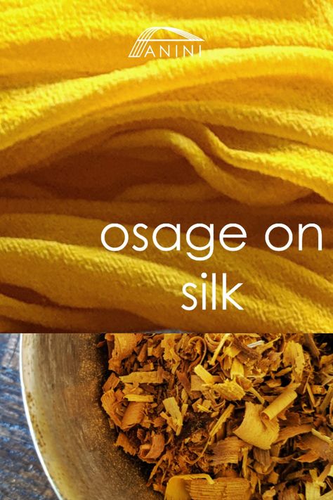 Osage Natural Dye is an all-American dye harvested from the Osage Tree and found in the Southern States. It dyes in bright, bold and rich golds and yellows, shining light on any natural fibers it touches! A fun, safe and cheerful hue, Osage is a great dye to learn Natural Dye with. Crafts Nature, Southern States, Shining Light, Natural Dye, Natural Dyes, Natural Fibers, To Learn, Nct, Dye