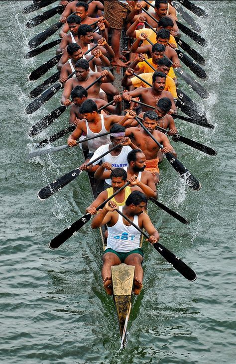 "The 100-120 feet long canoes made of a forest wood locally called "Aanjili " carrying 90- 110 rowers which moves like a snake through the channels (hence the name), is an eye catching sight for any one. The Chundan Vallam also has the record for " being the biggest water vessel used for sports purpose"   A shot from Kottapuram Boat Race. Nehru Trophy Boat Race, Kerala People Photography, South Indian Culture, Onam Festival, Amazing India, Festivals Of India, Ooty, Dragon Boat, Boat Race