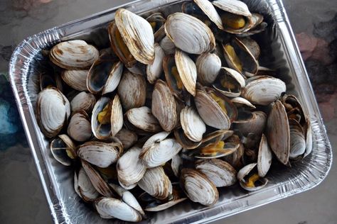 New England Steamed Clams | Guide & Recipes - New England Today How To Cook Steamers, How To Cook Clams, Yankee Recipes, Jordan Marsh Blueberry Muffins, Steamer Clams, Cooking Lobster, England Recipes, American Chop Suey, England Food