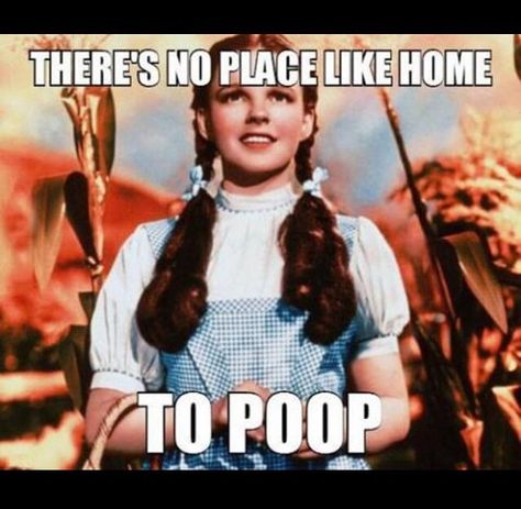 There's no place like home to poop. Oz vintage humor Dorothy Wizard Of Oz, Dorothy Gale, Hollywood Costume, There's No Place Like Home, The Wonderful Wizard Of Oz, I Love Cinema, No Place Like Home, Iconic Dresses, The Wizard Of Oz