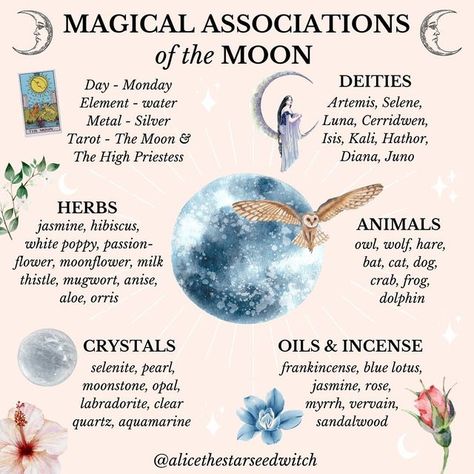 Moon Correspondences Witches, Herbs Of The Moon, Flowers Associated With The Moon, January Magical Correspondences, Moon Diety, New Moon Herbs, Blue Moon Magic, Moon Associations, Moon Rituals Magic