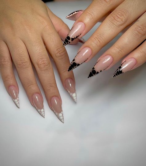 Black And White Nail Tip Designs, Unique White French Tip Nails, Stiletto Black French Tip Nails, Different Types Of French Tip Nails, White French Tip Designs, French Tip Designs Nails, Black And White French Nails, Black French Tip Nails With Design, Black And White French Tip Nails