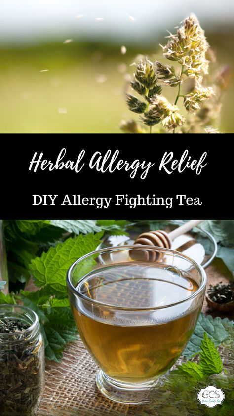 Herbal Allergy Relief, Herbs For Allergies, Medicinal Teas, Herbs Tea, Spearmint Tea, Tea Crafts, Medicinal Tea, Healing Tea, Allergy Remedies