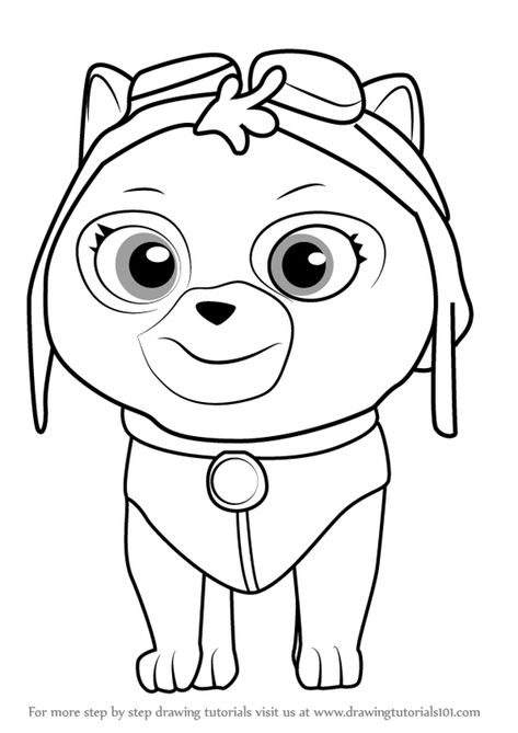 Learn How to Draw Cat Skye from PAW Patrol (PAW Patrol) Step by Step : Drawing Tutorials Paw Patrol Drawing, Draw Cat, Paw Drawing, Kittens Coloring, Characters Drawing, Skye Paw, Paw Patrol Characters, Paw Patrol Coloring, Paw Patrol Coloring Pages