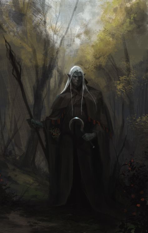 Drow Druid, Mad Wizard, Drow Wizard, Mroczny Elf, Drow Male, Elf Wizard, Elf Images, Male Elf, Dark Elves