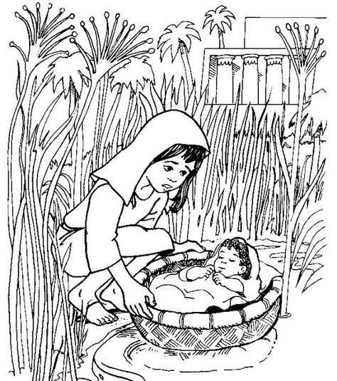 Christian Ed To Go: This Sunday: Baby Moses Coloring Pages -- Put in Water; Found Baby Moses Crafts, Moses Craft, Free Bible Coloring Pages, Sunday School Coloring Pages, Baby Coloring Pages, Baby Moses, Bible Story Crafts, Baby Moses Basket, Preschool Coloring Pages