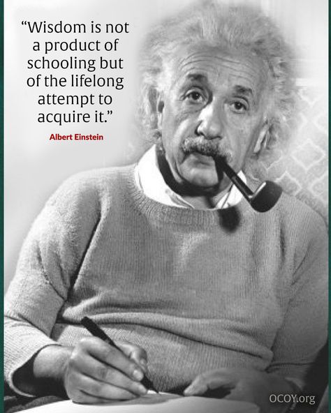 "School" is not just some classes when we are young. It is life itself, and we are learning much more important lessons than 2+2. We are learning who we really are. Life Itself, School Quotes, Albert Einstein, Wisdom Quotes, Spiritual Quotes, Einstein, Spirituality, Memes, Quotes