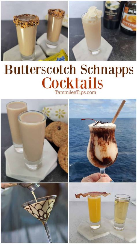 Baileys And Butterscotch Recipes Drinks, Drinks Made With Butterscotch Schnapps, Butterscotch Martini Recipe, Butterscotch Rum Drinks, Butter Ripple Schnapps Drinks, Shots With Butterscotch Schnapps, Butterscotch Snaps Drinks, Dr Mcgillicuddy Recipes Butterscotch, Drinks With Butterscotch Liquor