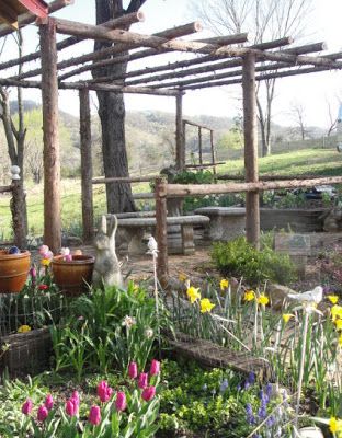 Rustic Grape Arbor, Log Arbor, Perma Garden, Grape Arbors, Cedar Trellis, Cedar Arbor, Grape Vine Trellis, Diy Arbour, Rustic Arbor