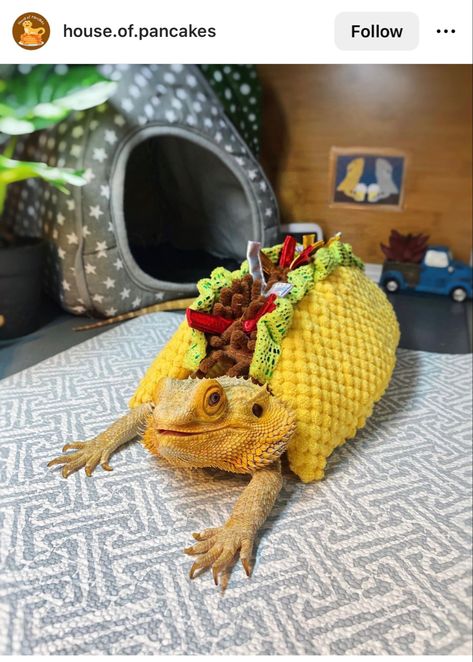 Bearded Dragon In Clothes, Crochet Bearded Dragon Clothes, Bearded Dragon Outfits, Bearded Dragon Crochet, Bearded Dragon Costumes, Bearded Dragon Clothes, Baby Lizards, Funny Lizards, Bearded Dragon Funny