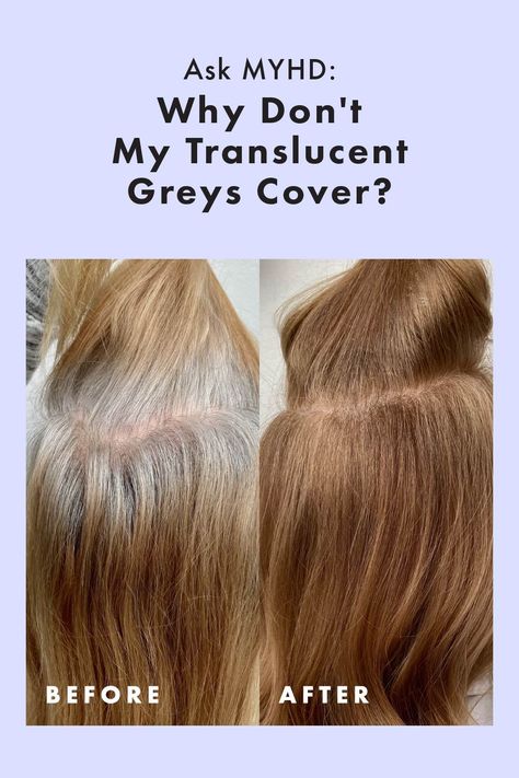 Ask MYHD: Why Don't My Translucent Greys Cover? If you're struggling with translucent Greys or covering Greys it's time to change up how you cover Greys using these Grey Coverage techniques. Colours To Cover Grey Hair, Brunette Balayage Hair To Cover Grey, Demi Permanent Hair Color To Cover Grey, Grey Coverage Hair, Hair Colour Grey, Braids Dreadlocks, Hide Greys, Covering Grey Roots, Porous Hair