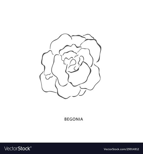 Begonia Tattoo Black And White, Begonia Tattoo, Begonia Flower, Drawings Simple, Fine Line Tattoos, School Board, Line Tattoos, Minimal Tattoo, Fine Line